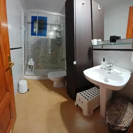 Girasoles 코라레호