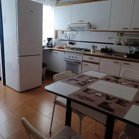 Girasoles 코라레호