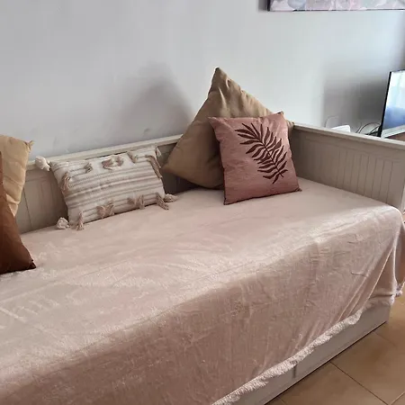 Girasoles 코라레호