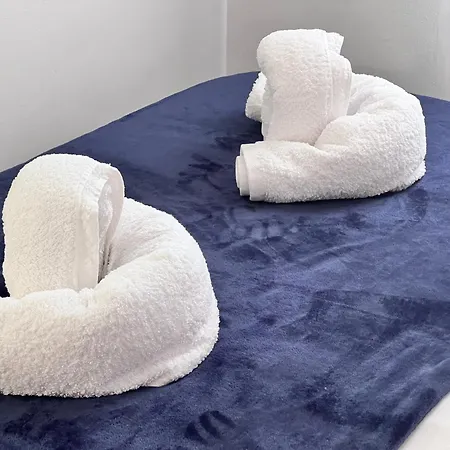 Girasoles 코라레호