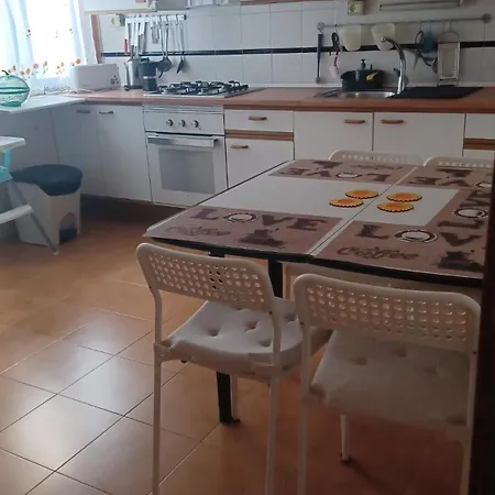 Girasoles * コラレホ